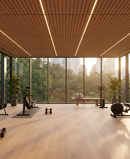 Gymnasium